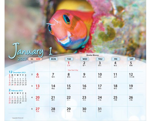 Desk Calendar DC34